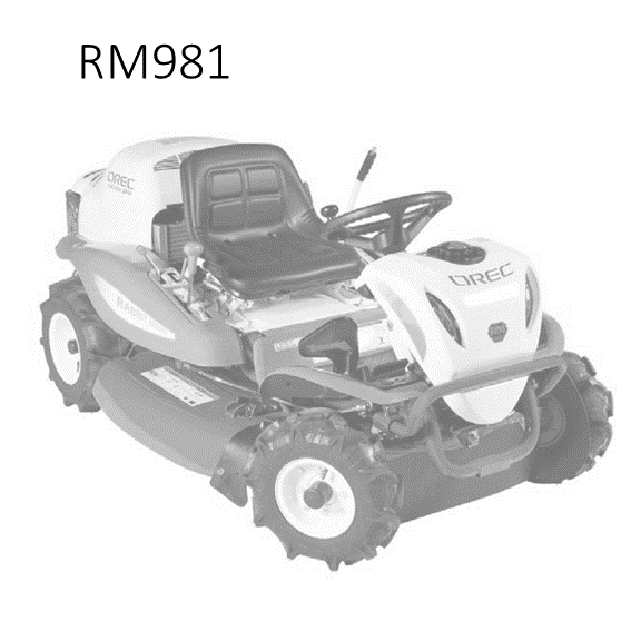 RM981